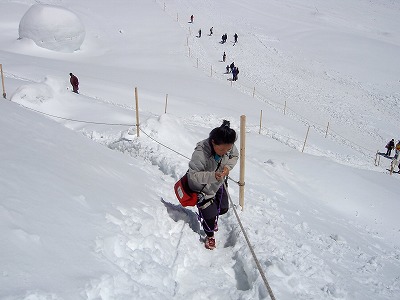 e0066062_1363218.jpg