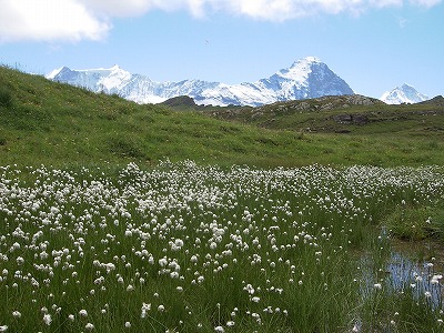 e0066062_22421966.jpg