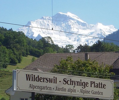 e0066062_23175049.jpg