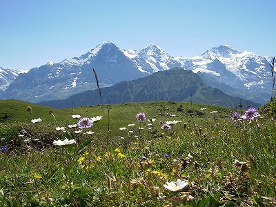 e0066062_2320493.jpg