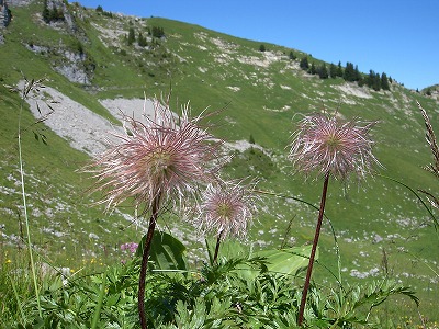 e0066062_23215554.jpg