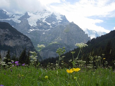 e0066062_2482684.jpg