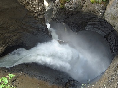 e0066062_2511531.jpg