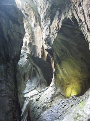 e0066062_2524262.jpg
