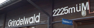 e0066062_3122935.jpg