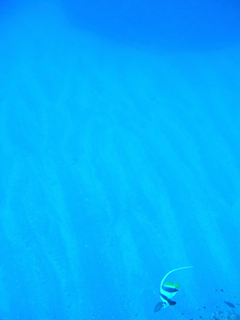 b0062363_230475.jpg