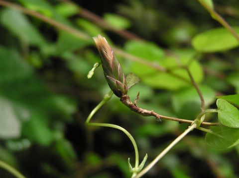c0042869_18584170.jpg