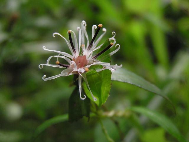 c0042869_18595642.jpg