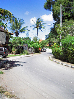 e0038669_1016416.jpg
