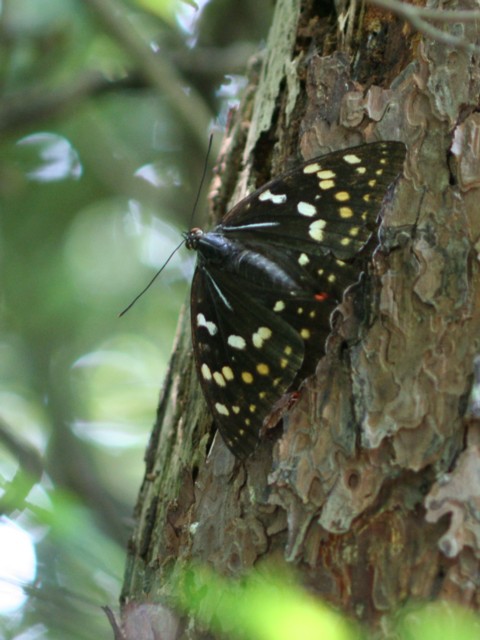 b0088772_19153316.jpg