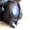 f0138376_13161847.gif