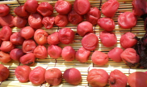 f0007580_2355922.jpg