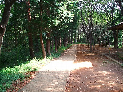 c0092983_11343559.jpg
