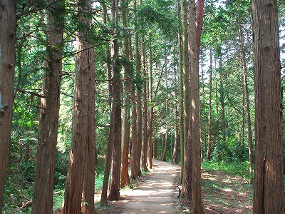 c0092983_1135211.jpg