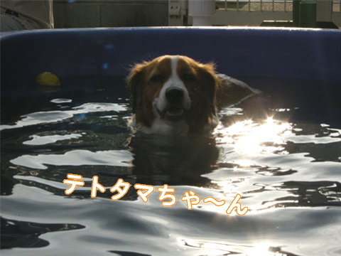 d0001985_029610.jpg