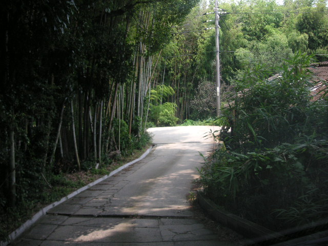 f0142986_18285715.jpg