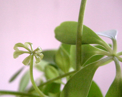 a0064291_17393362.jpg