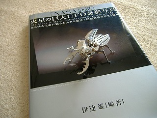 c0107997_6124758.jpg