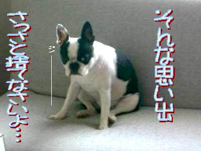 a0086698_05855.jpg