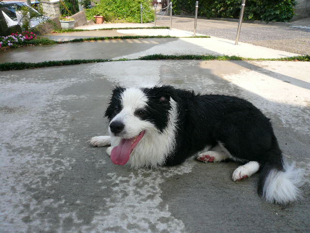 e0028401_20504558.jpg