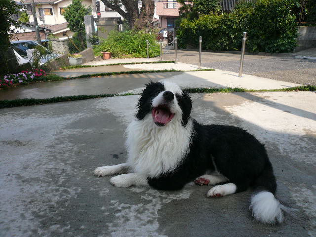 e0028401_20505655.jpg