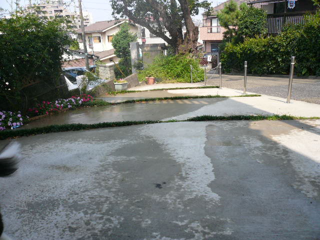 e0028401_2051968.jpg