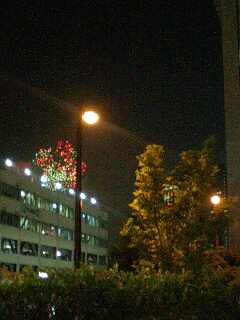 a0050302_403854.jpg