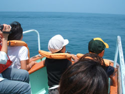 f0048405_1847030.jpg