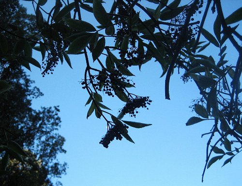 b0064411_646031.jpg