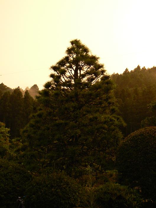 c0086014_21481382.jpg