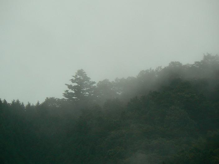 c0086014_2148370.jpg