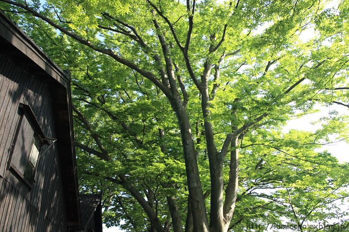 e0121814_0465329.jpg