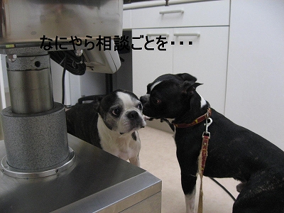 f0141516_1244093.jpg