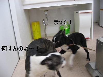 f0141516_125564.jpg