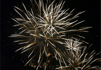 d0042618_11404384.jpg