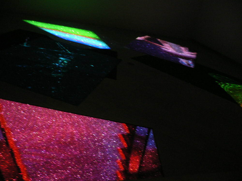 c0092520_2349516.jpg