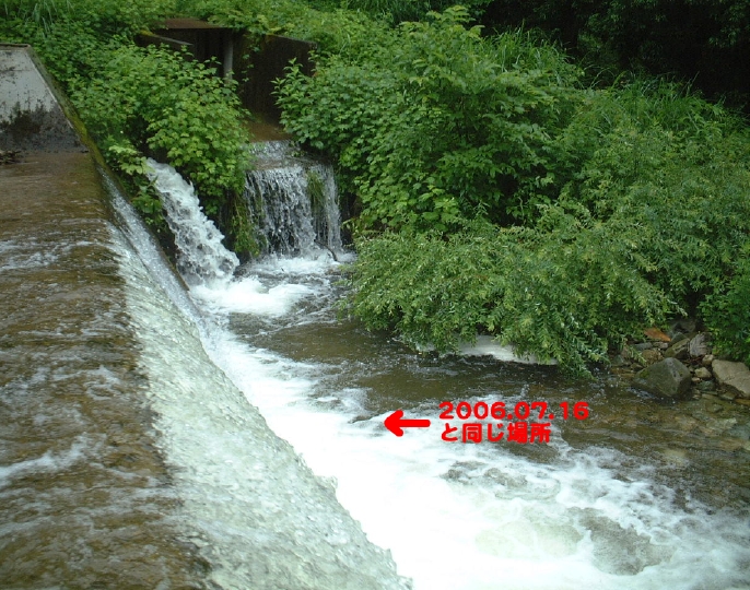 e0047026_1439772.jpg