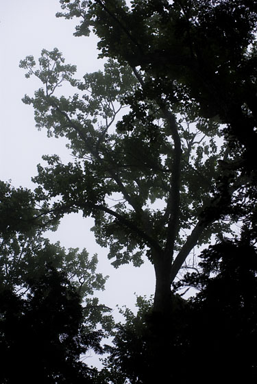 e0025030_1202564.jpg