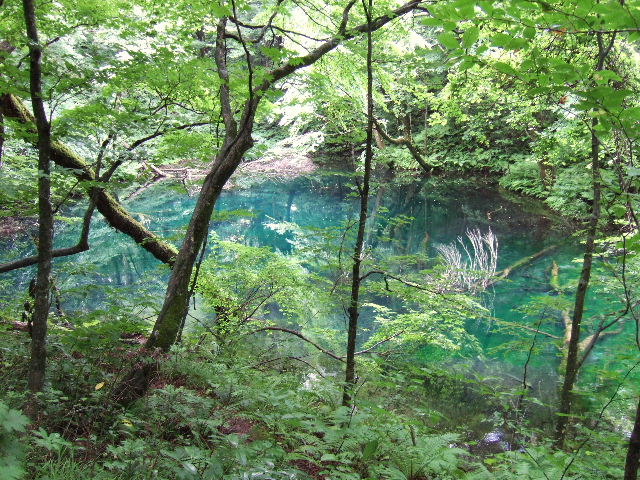 e0064133_0102781.jpg