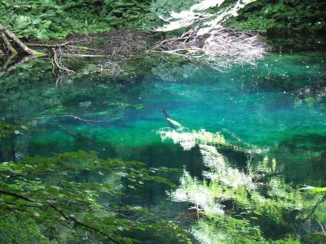 e0064133_0104390.jpg