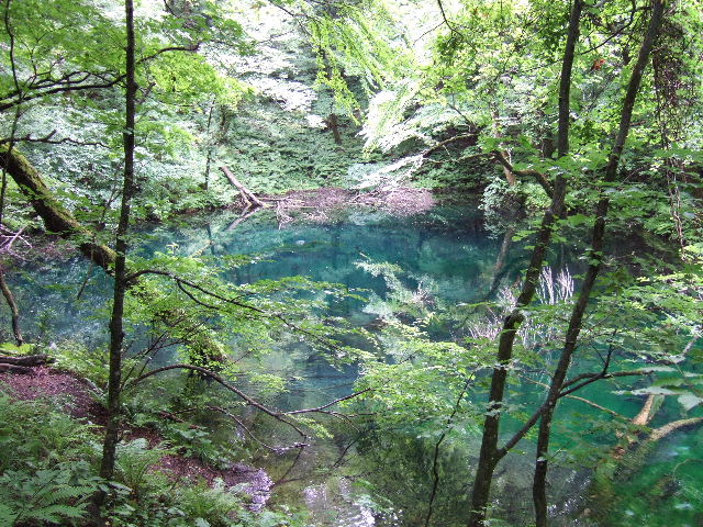 e0064133_0105348.jpg