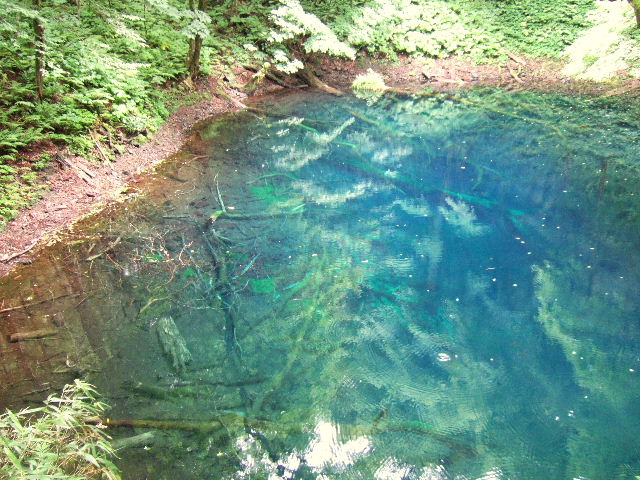 e0064133_031722.jpg
