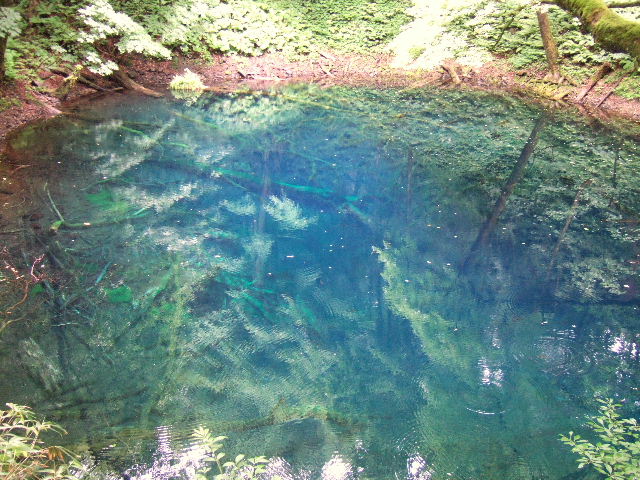 e0064133_033454.jpg