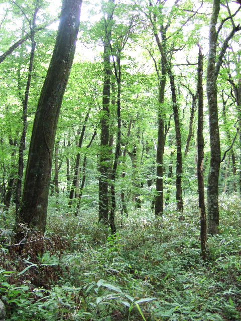 e0064133_085015.jpg