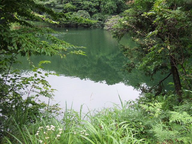 e0064133_21123361.jpg