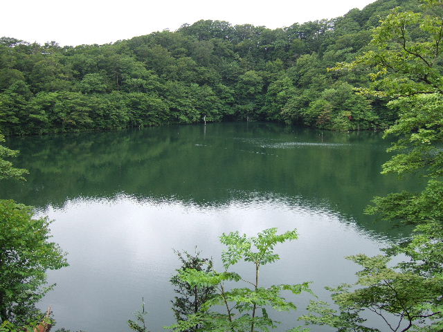 e0064133_21182886.jpg