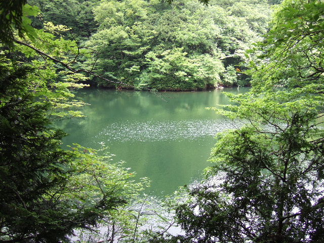 e0064133_21191422.jpg
