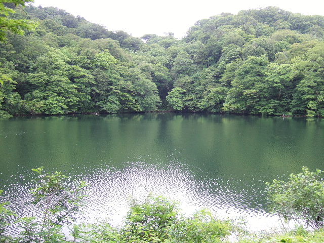 e0064133_2121288.jpg
