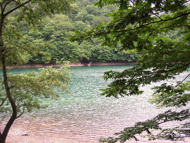 e0064133_21221418.jpg