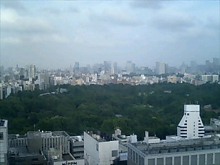 e0081334_3242890.jpg